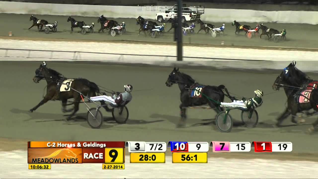 February 27, 2014 - Race 9 - Flipper J