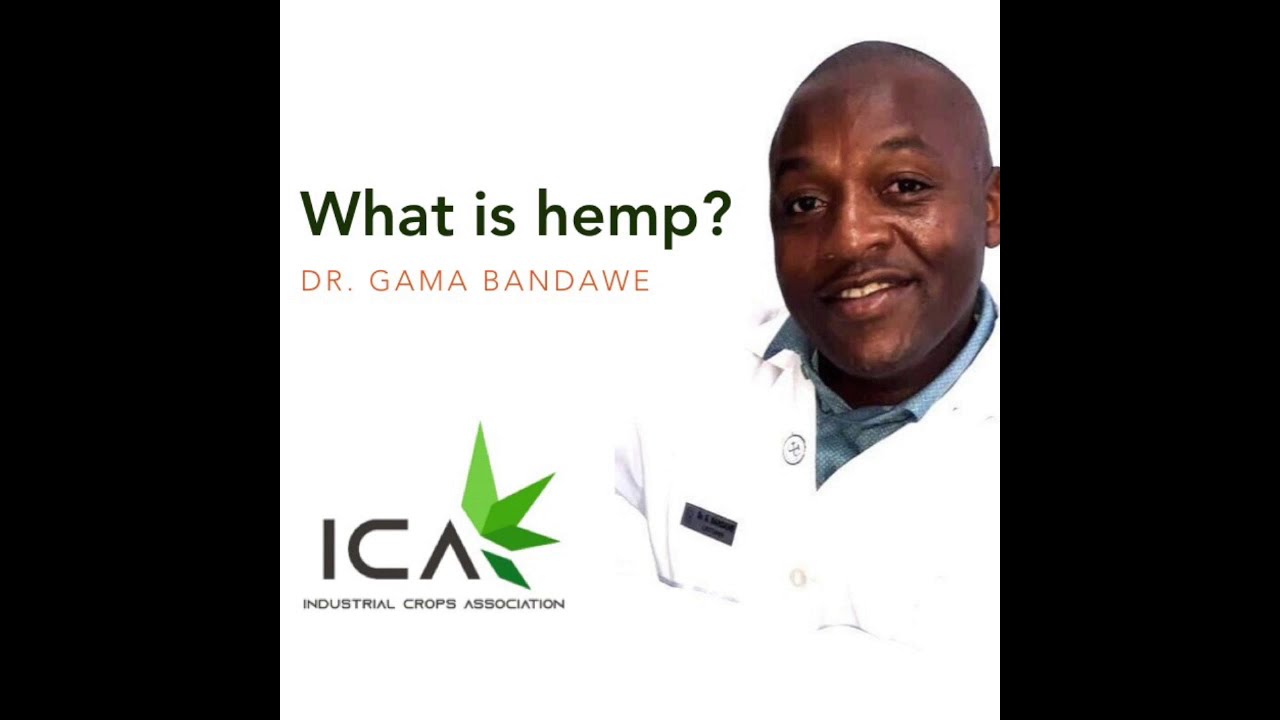 What is hemp? - ICA Malawi
