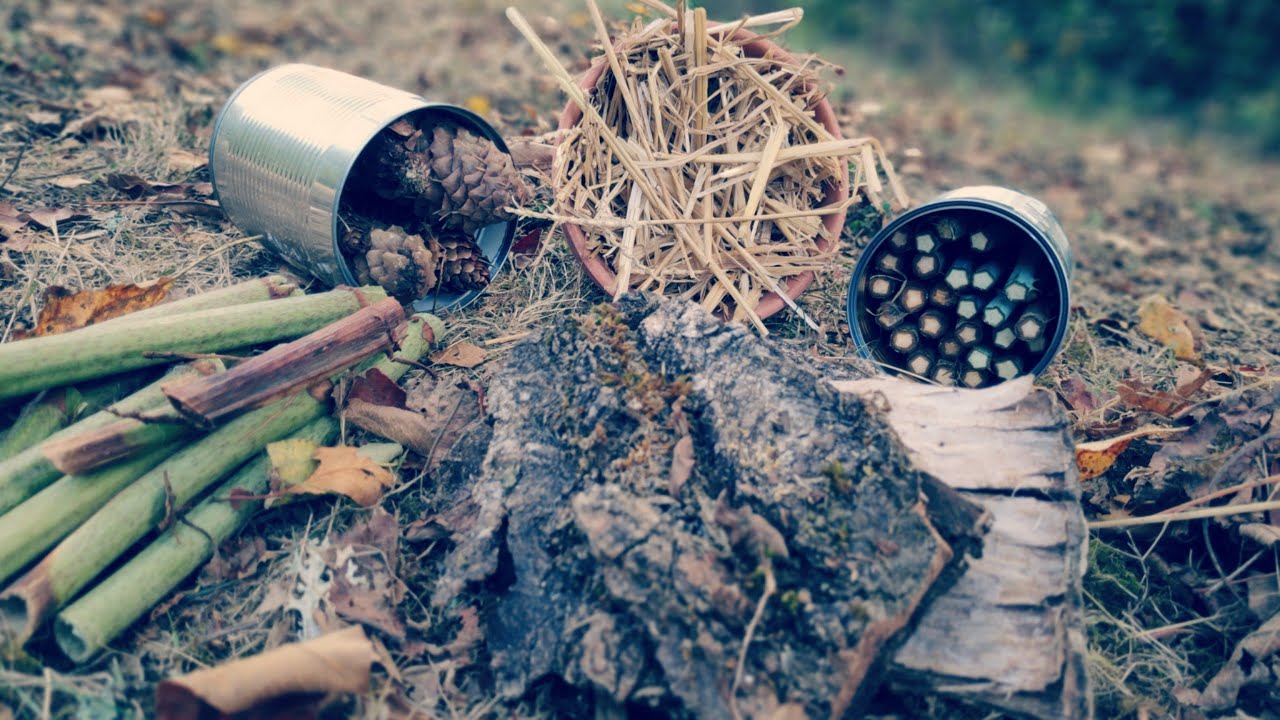 COMMENT FAIRE DES ABRIS À INSECTES GRATUITEMENT #1 DIY