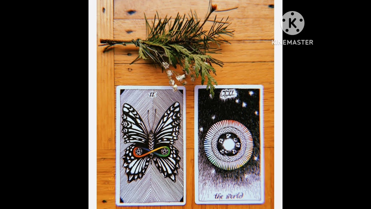 Pick a card reading#universe messages#tarot reading✨#tamil
