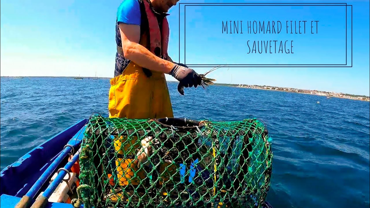 CASIERS #7 / MINI HOMARD FILET ET SAUVETAGE / 🦞🚣‍♂️🐟