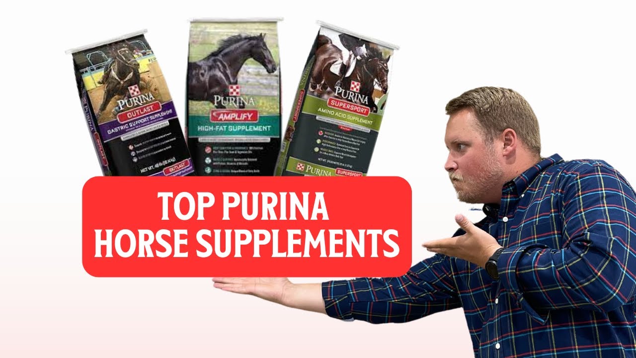 Top 3 Purina Horse Supplements