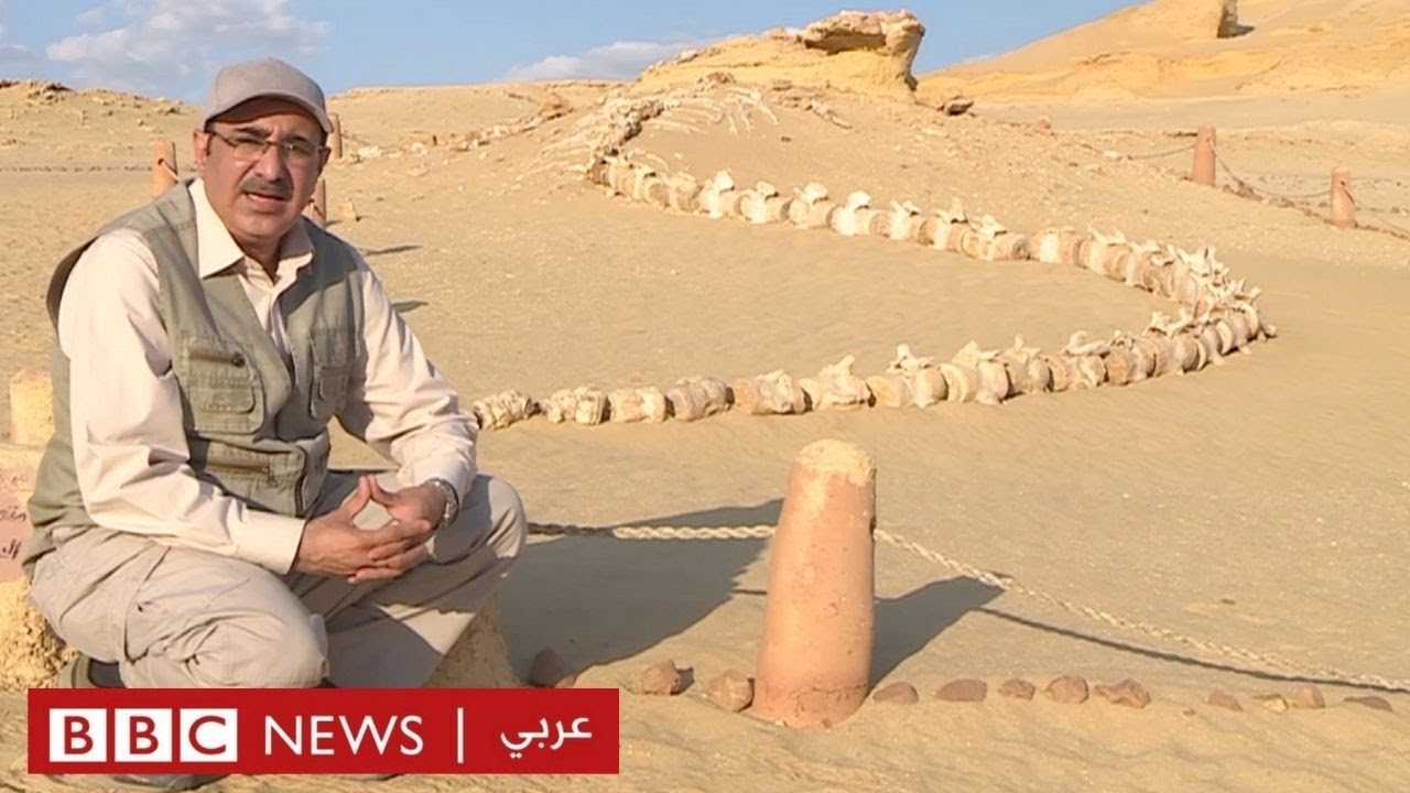 وادي حيتان: مكان يروي تاريخ الأرض والكائنات التي عاشت عليها في الأزمنة السحيقة