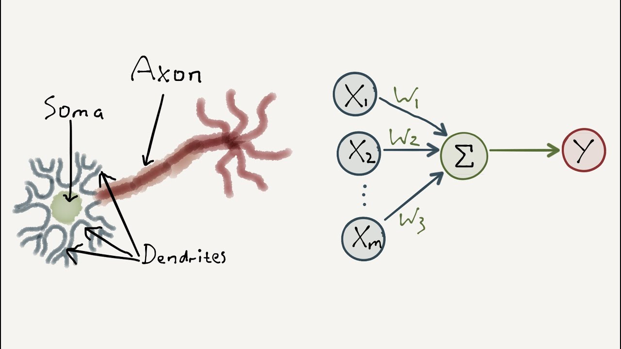 Special Neural Networks (Perceptron) in Machine Learning