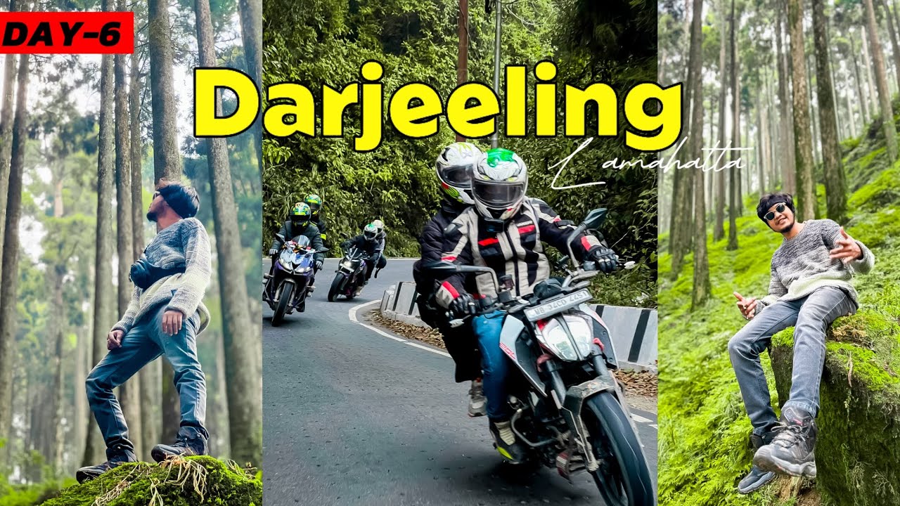 Darjeeling Bike Ride || Day-6 || Lamahatta Pine Forest || Biswa Official📌