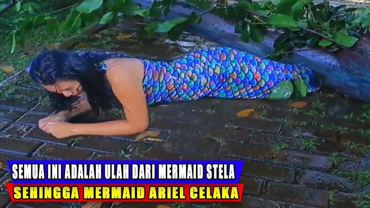Semua ini adalah ulah dari mermaid stela sehingga mermaid ariel celaka mermaid in love 2 dunia