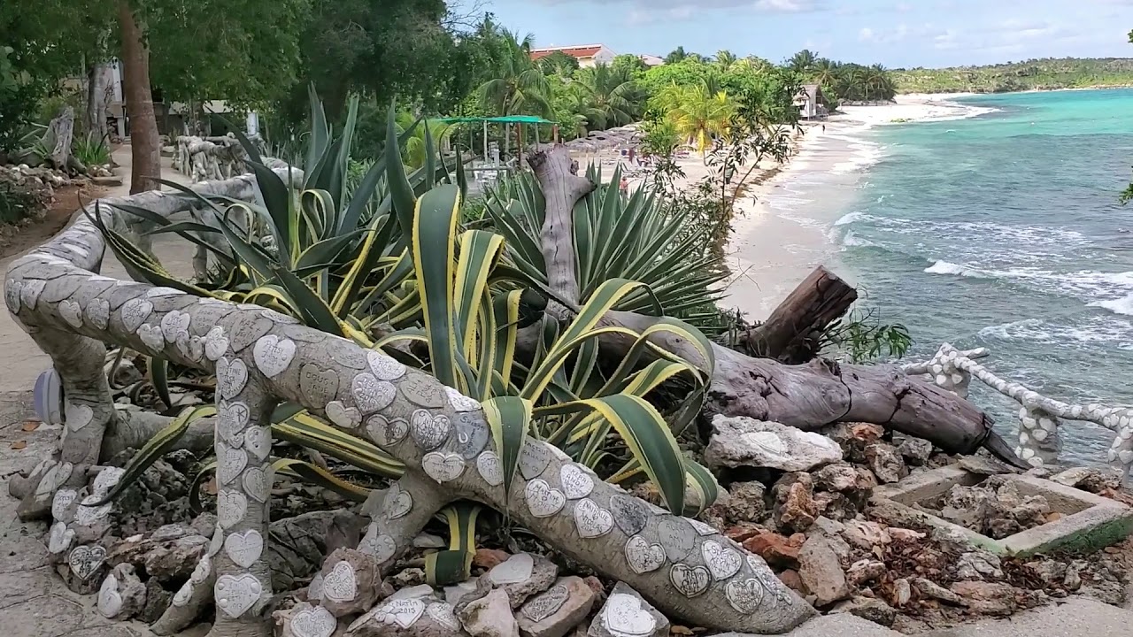 Revisit to the Paradisus Rio De Oro