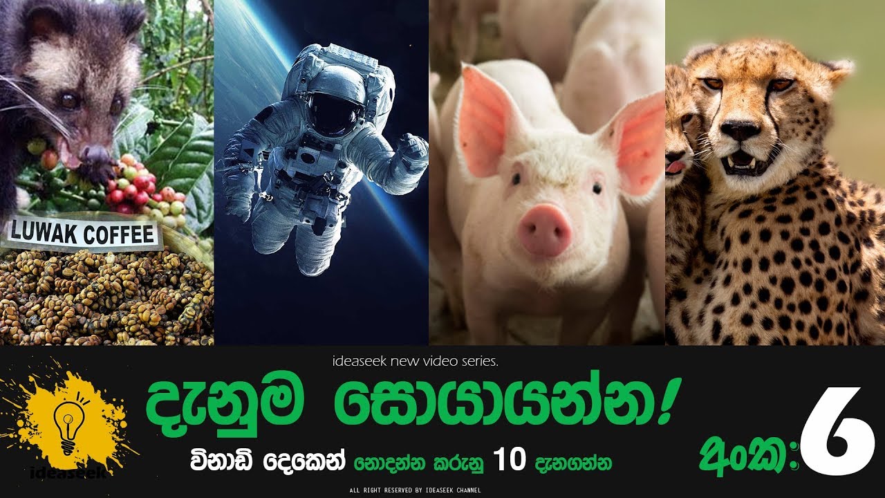 seek your knowledge (Danuma Soyanna) episode 06 ideaseek 2019