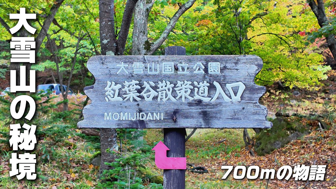 大雪山の秘境へ700mの物語。層雲峡・紅葉谷、魂に触れる散策路