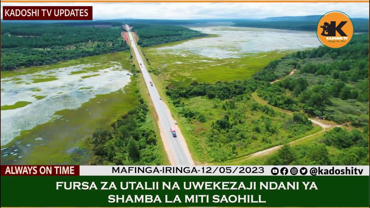 HILI NDILO SHAMBA LA MITI SAO HILL FAHAMU FURSA KEDEKEDE ZILIZOMO NDANI YAKE