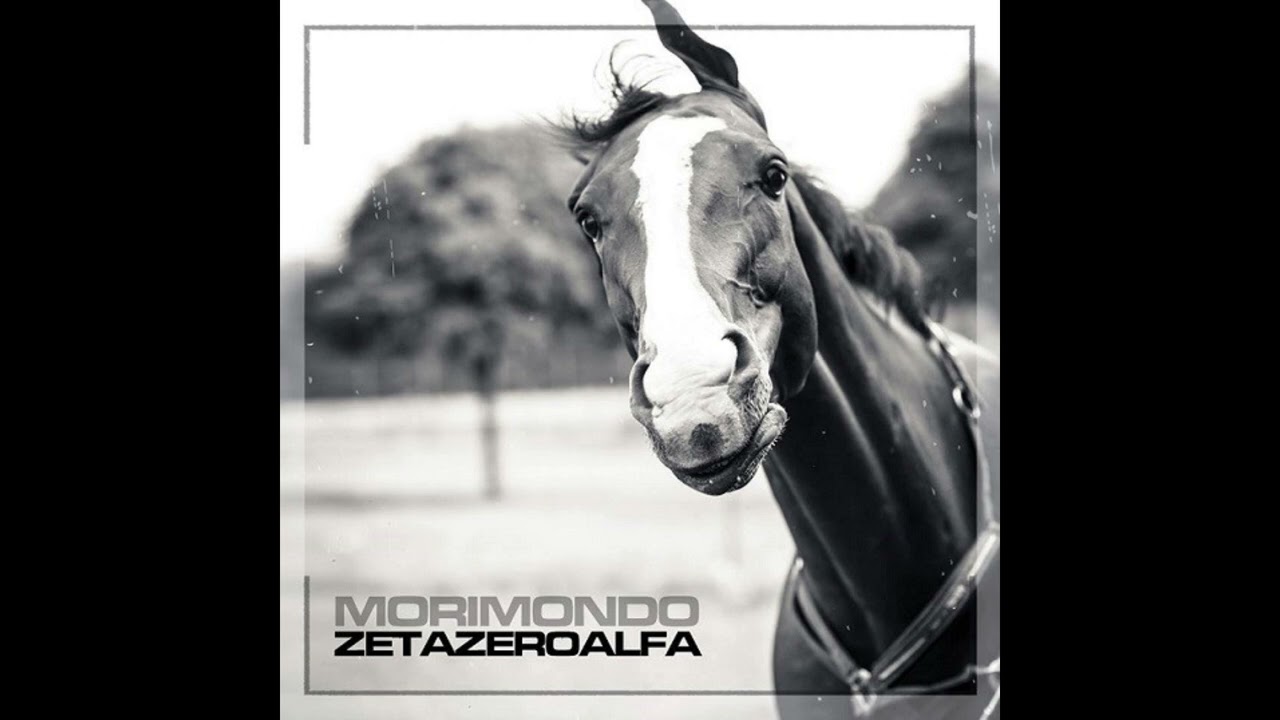 Zetazeroalfa - Marcia oppure crepa