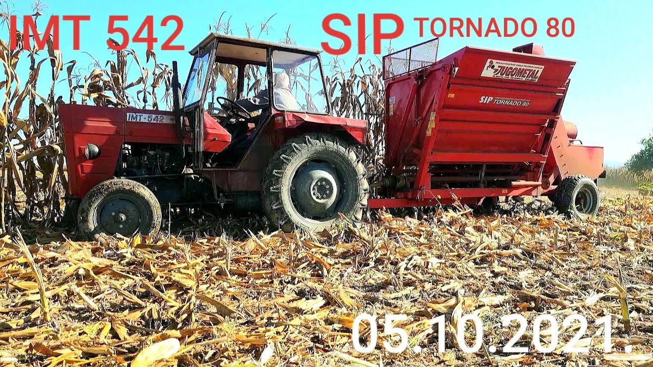 Berba Kukuruza 05.10.2021. | IMT 542 i SIP TORNADO 80