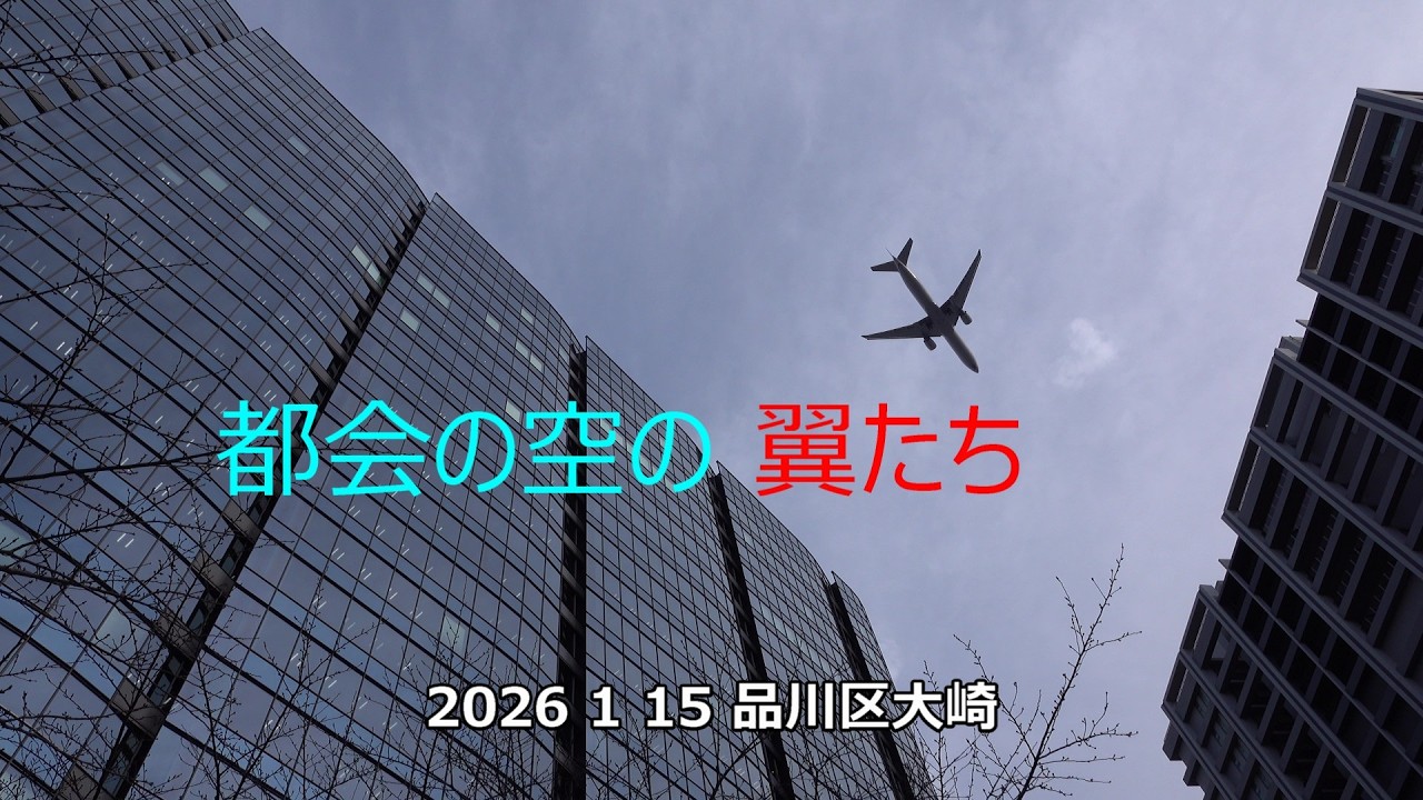 都会の空の 翼たち 2026 01