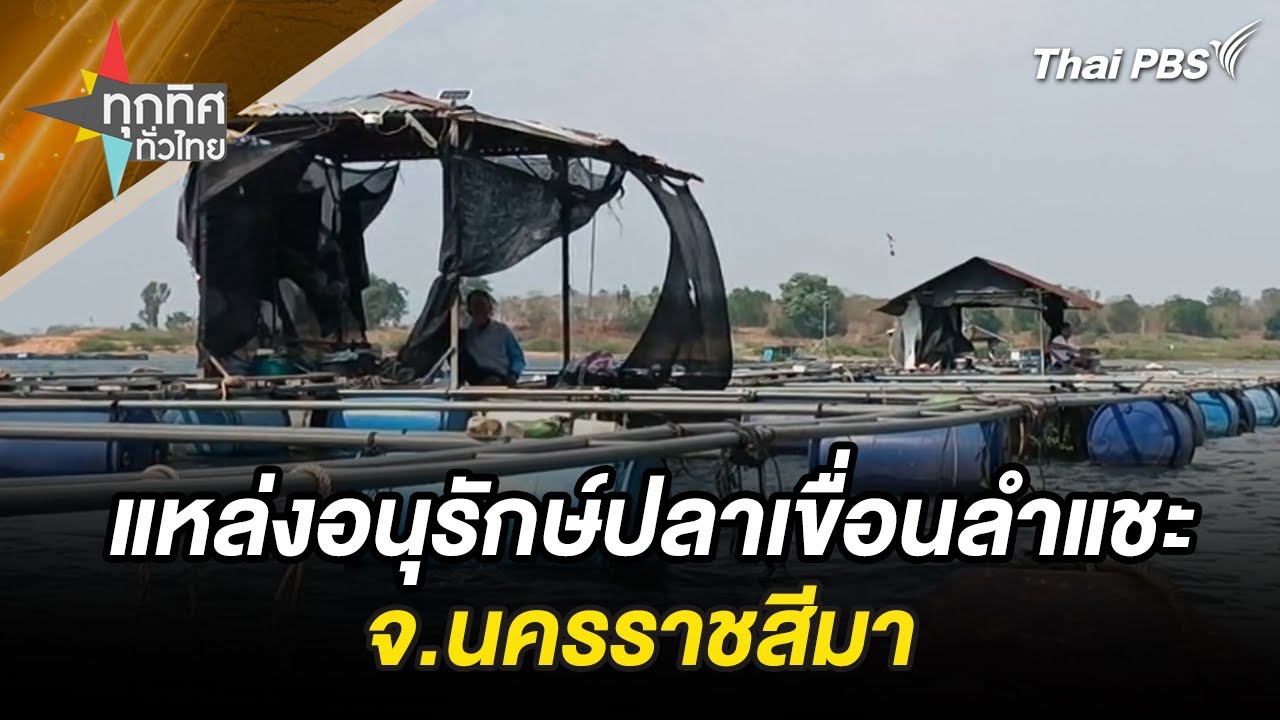 แหล่งอนุรักษ์ปลาเขื่อนลำแชะ จ.นครราชสีมา | ทุกทิศทั่วไทย | 9 เม.ย. 67