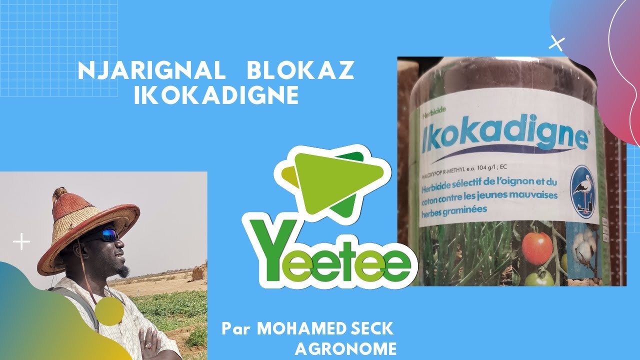 Yeetee: njarignal ikokadigne