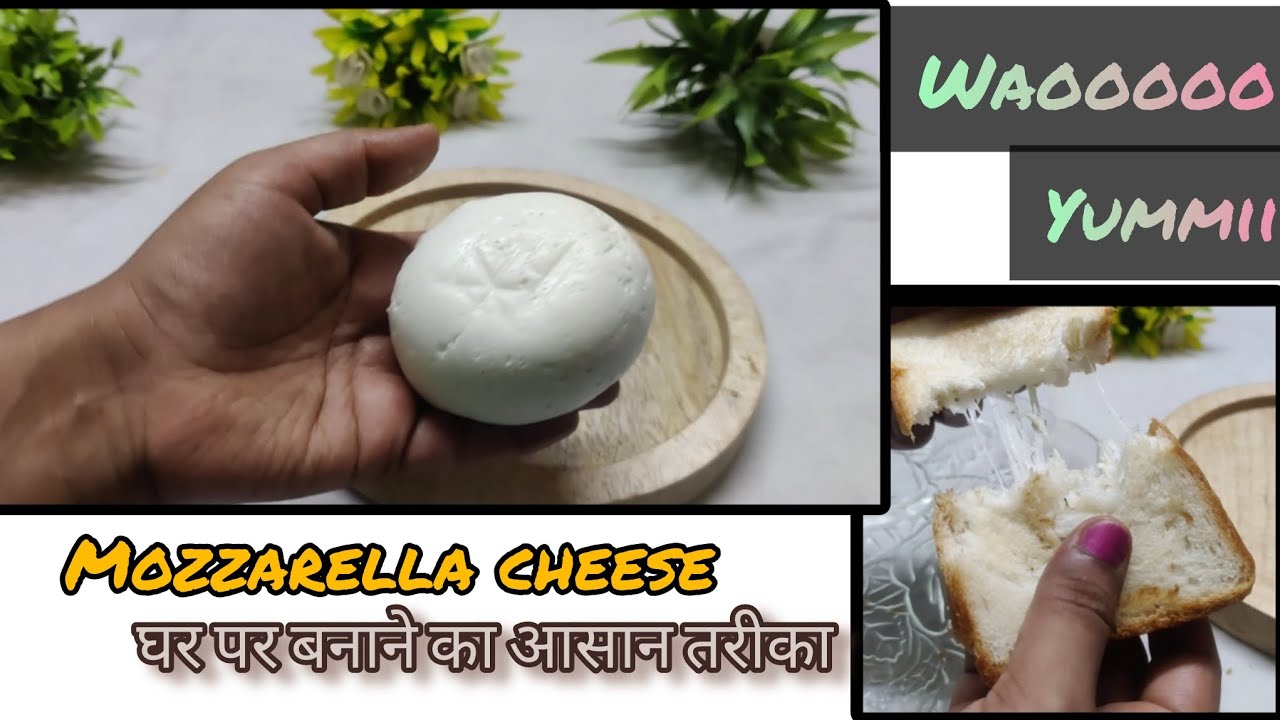 Easy way to make Mozzarella cheese at home ⏐ घर पर बनाने का आसान तरीका #food #cooking #startup 
