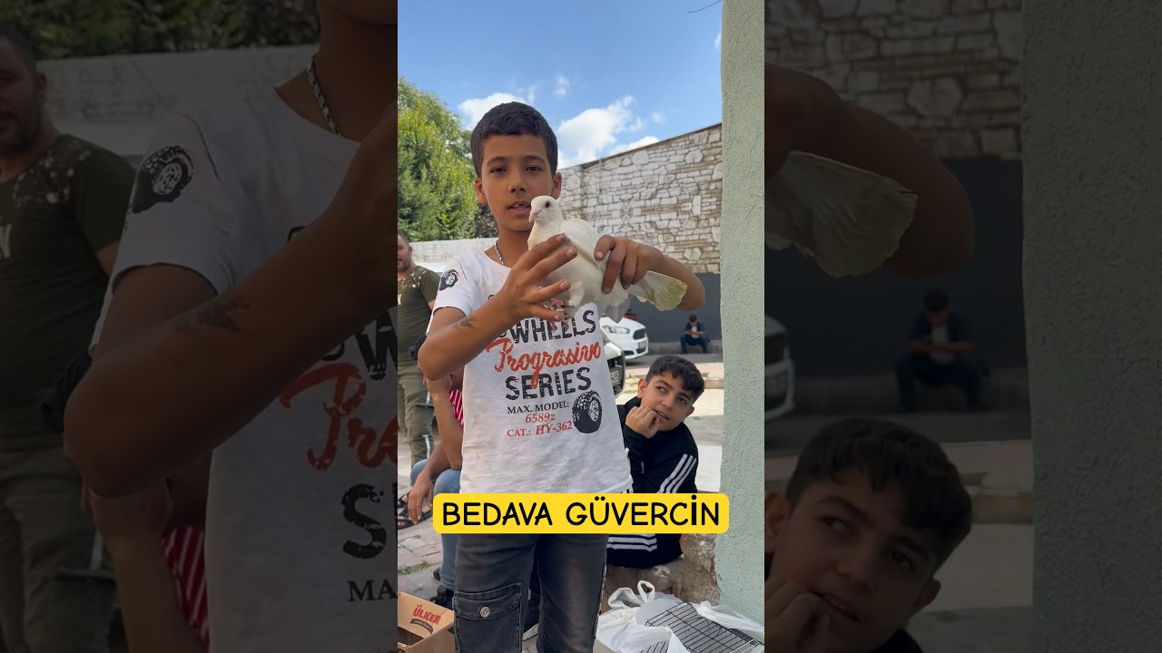 G&uuml;vercin 10 TL 😱