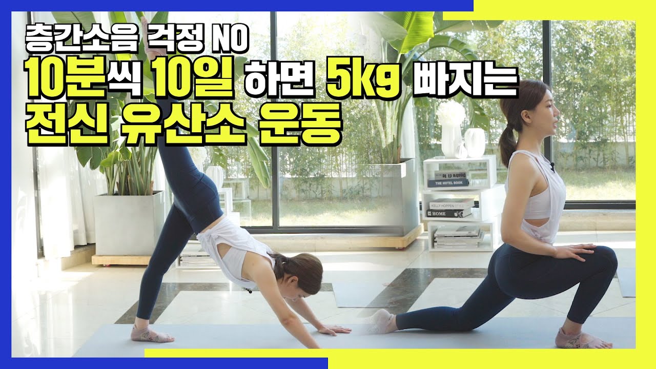 층간소음 걱정NO! 10분씩 10일 하면 5kg 빠지는 전신 유산소 운동 [딩고PT] /허벅지 엉덩이 복부빠지는 운동