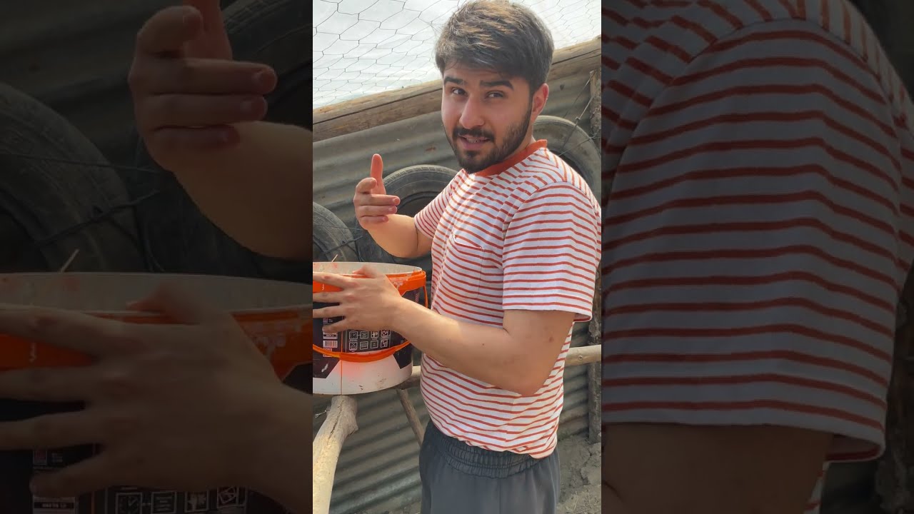 tavukçuluk para kazandiriyormu yumurta toplama #1 #yumurta #yumurtatoplama #tavuk