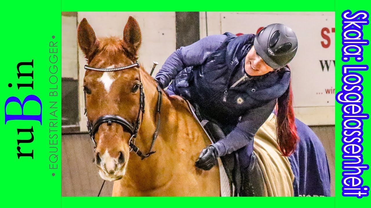 Losgelassenheit - Warum sie so wichtig ist! | Die Skala der Ausbildung