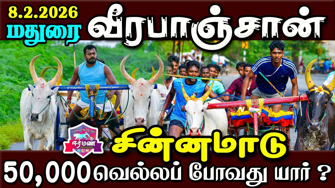 🔴LIVE(நேரலை) | மதுரை | வீரபாஞ்சான் | சின்னமாடு | பந்தயம்