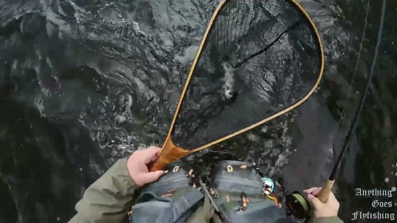 Flugfiske i Byskeälven 2025 06 11 2
