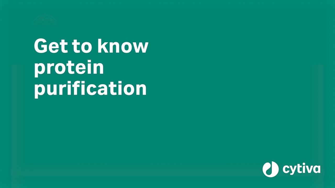 Protein purification tutorial: a workflow for lab-scale purification