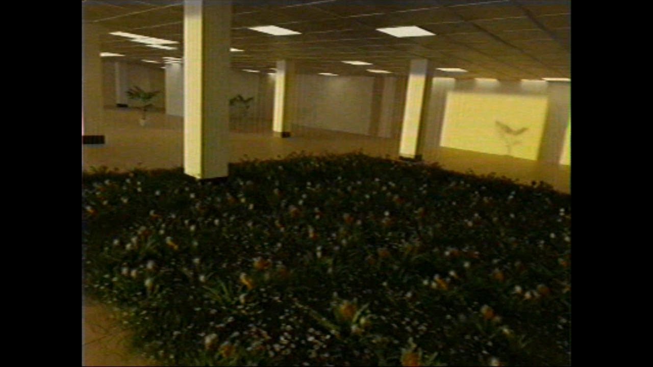 Backrooms - The Garden (Level 150 found footage)
