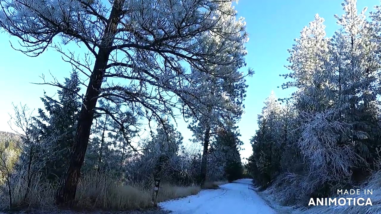 Military Cemetery Trailhead December 2020
