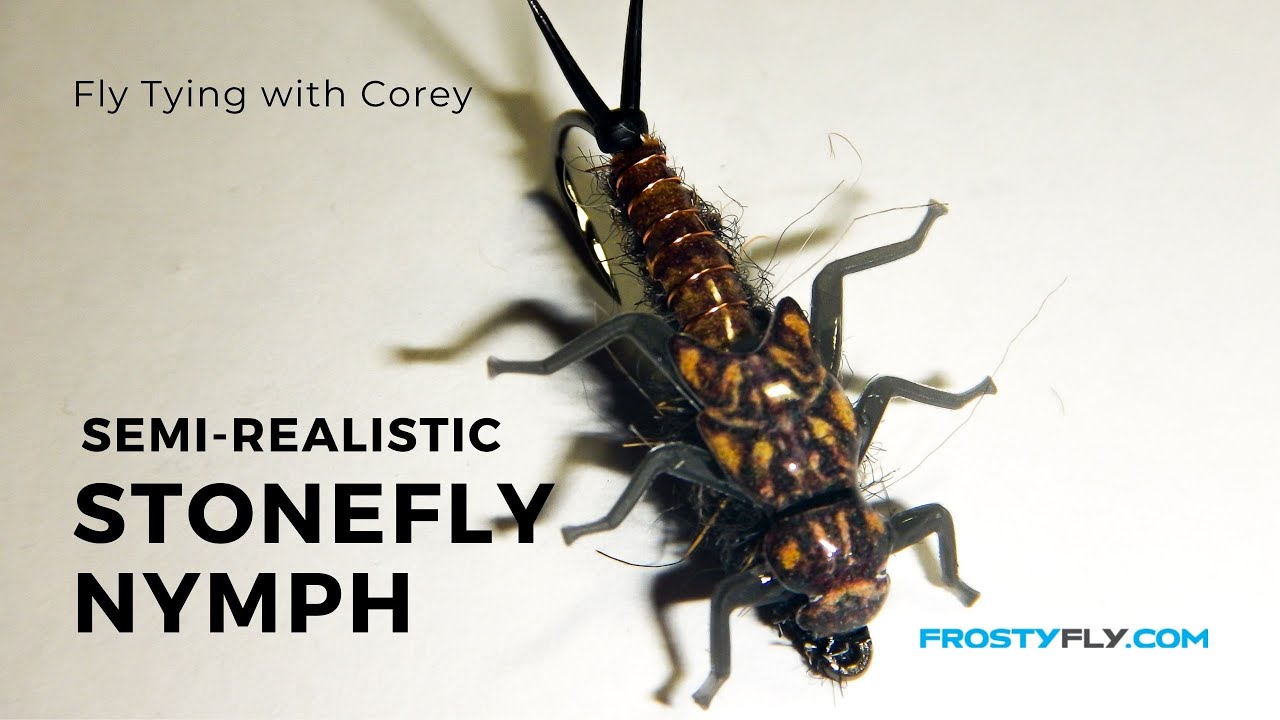 Fly Tying with Corey: Semi-Realistic Stonefly Nymph