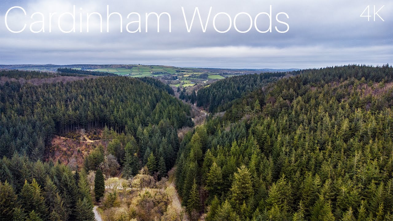 Cardinham Woods | Cornwalls Biggest Forest | 4K Aerial/Drone Cinematic Video