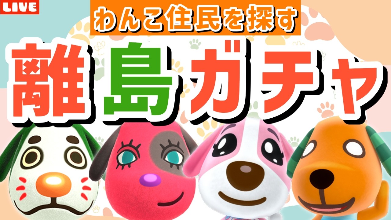 【あつ森】今日も犬住民を探すぞ！可愛いわんこ島を作るための離島ガチャLIVE配信【あつまれ どうぶつの森】