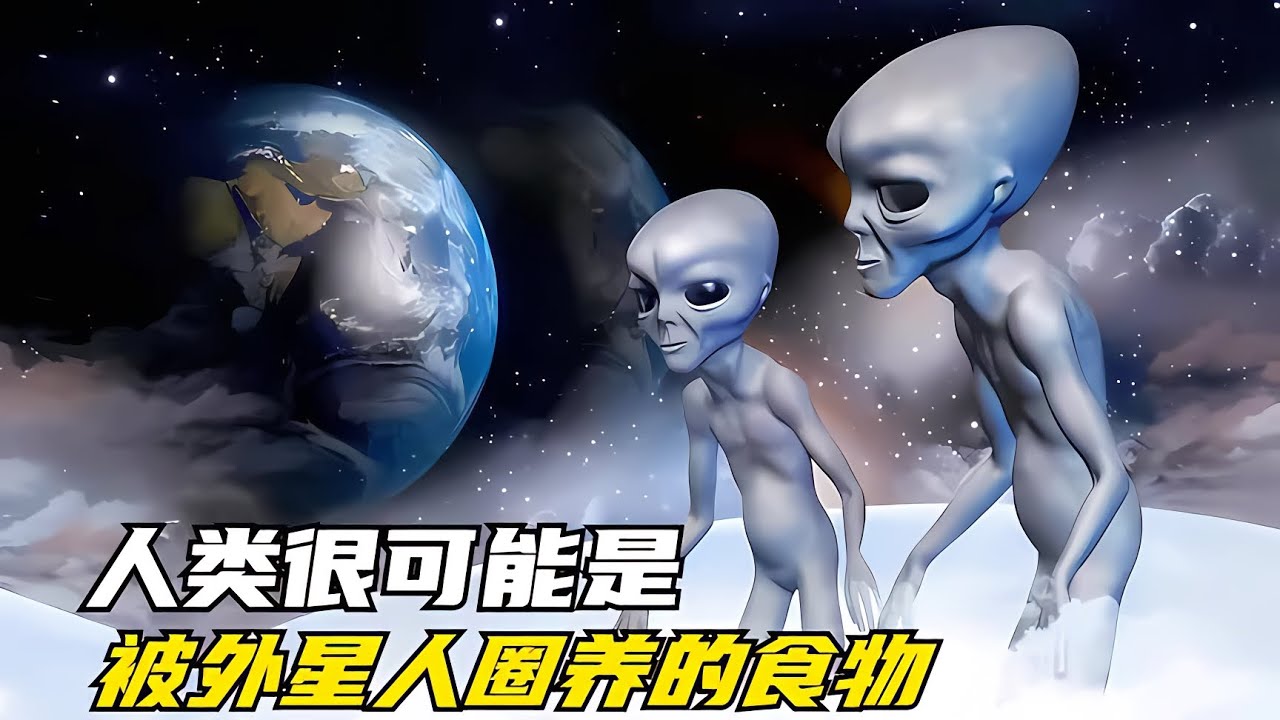 人類到底是被外星人圈養的食物嗎？雖然嚇人，但也不是完全不可能 #童话接班 #法国神作 #流浪猫生 #爱情无价 #动物胖子
