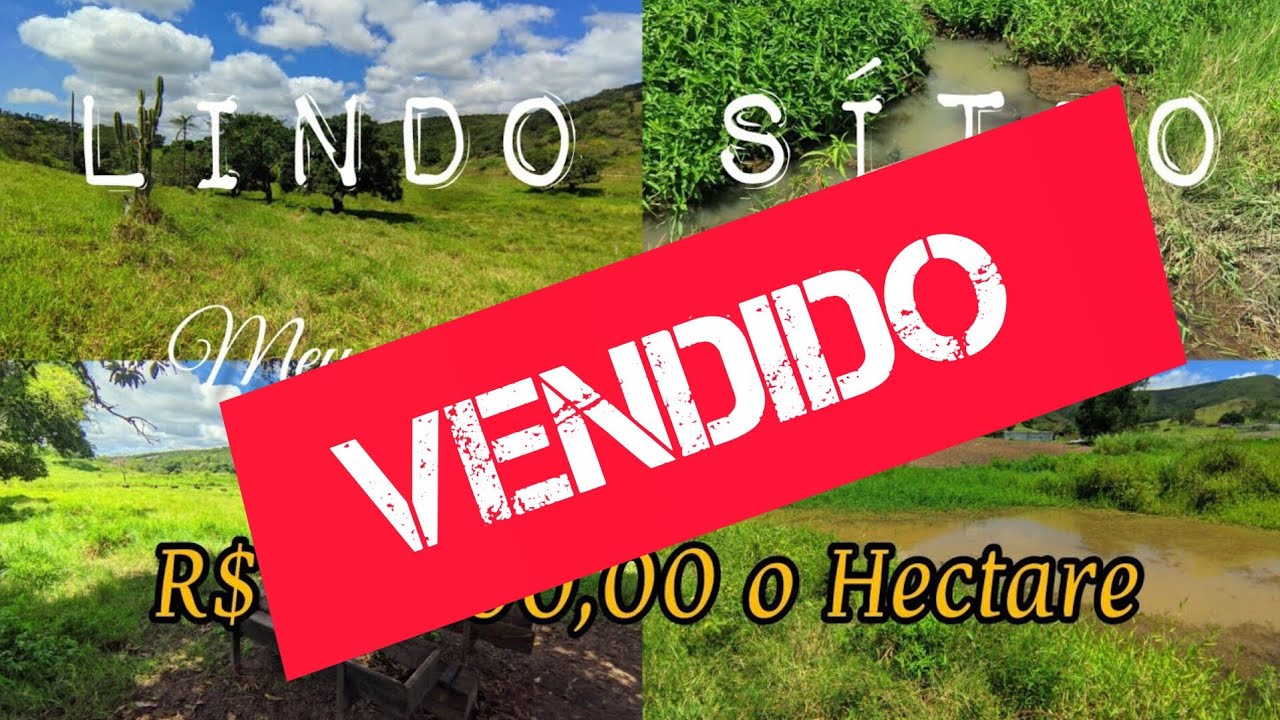 🌳 LINDO SITIO 11 Hectares (OPORTUNIDADE)