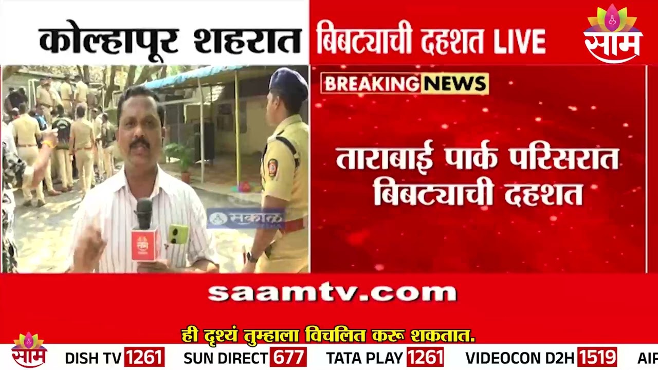 कोल्हापुर MSEB कार्यालय परिसरात बिबट्याची दहशत | Kolhapur News