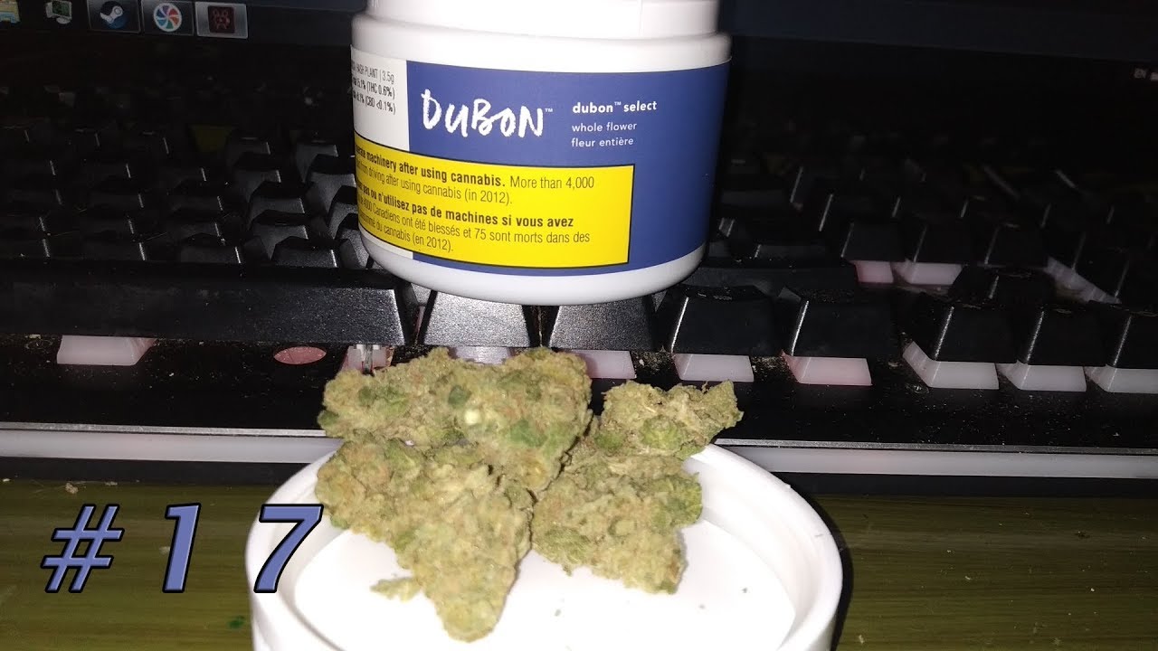 SQDC Weed Review #17 - Hash Plant de Dubon Select