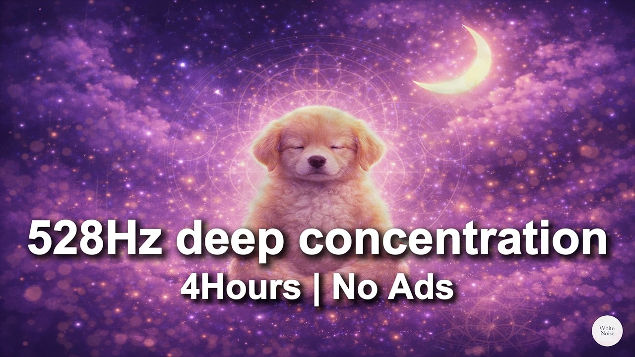 [White Noise] 528HZ Minimum frequency for deep concentra 4Hours | No Ads