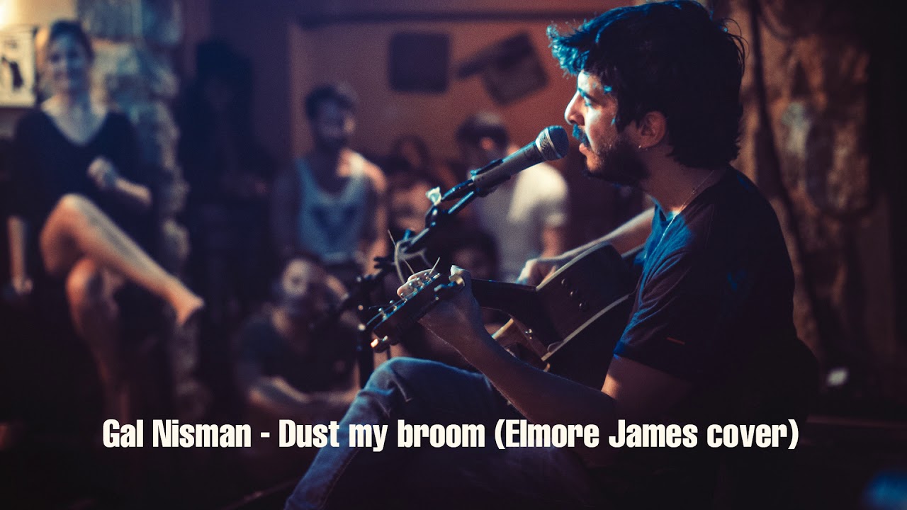 Dust my brrom - Elmore James cover