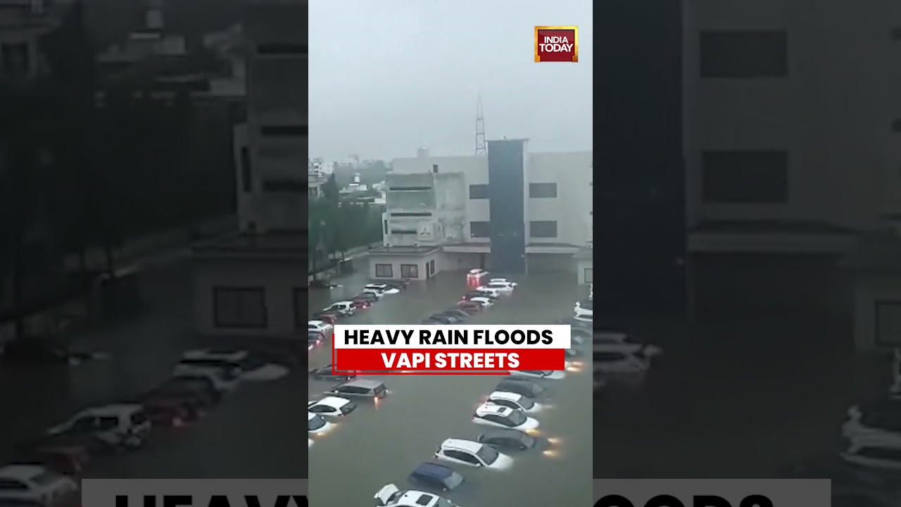 Vapi Flooded After Third Day Of Heavy Rain In Gujarat's Valsad | Viral Video