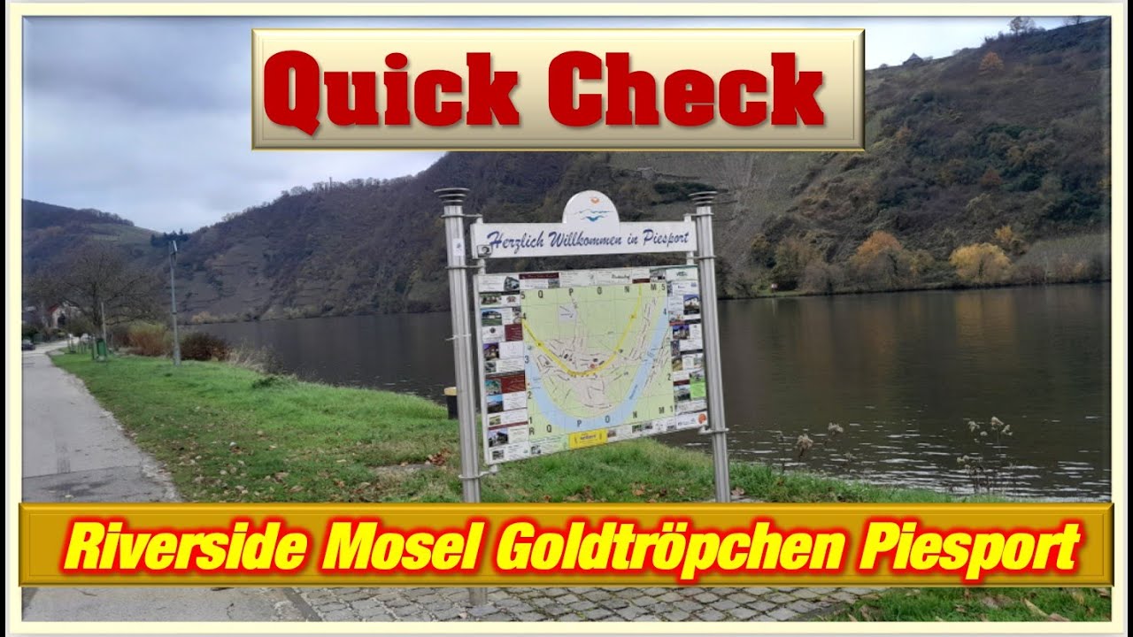 Wohnmobilstellplatz Riverside Mosel Goldtröpchen ⭐⭐⭐⭐ Piesport #camping #travel #vanlife