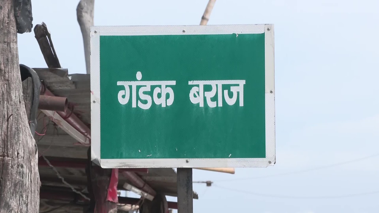 Bihar Flood Update LIVE 🔴 Gandak River Under Watch Amid Nepal Rains
