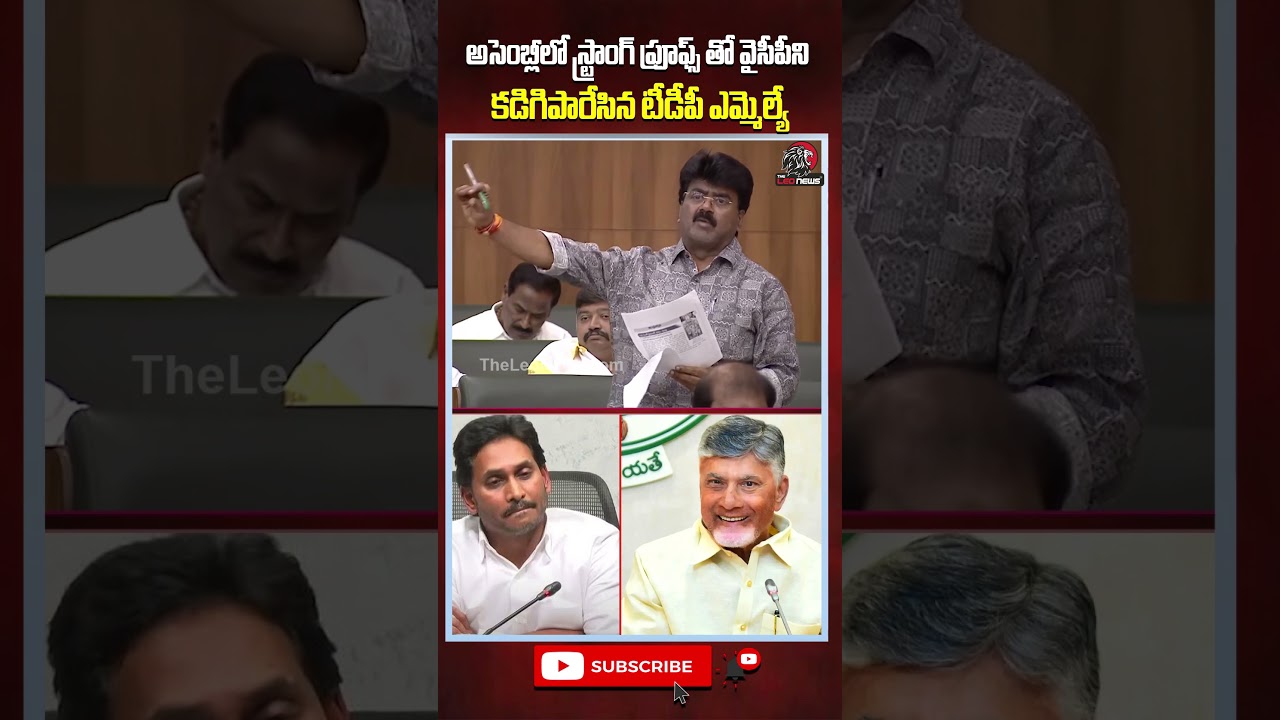 ప్రూఫ్స్ తో వైసీపీని కడిగిపారేసిన టీడీపీ ఎమ్మెల్యే#apassembly #ysjagan #ycp #tdp #appolitics #shorts