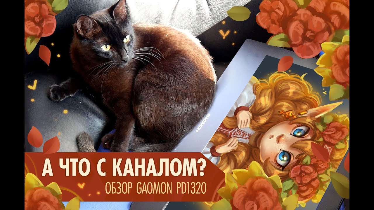 Планы на канал | Обзор GAOMON PD1320