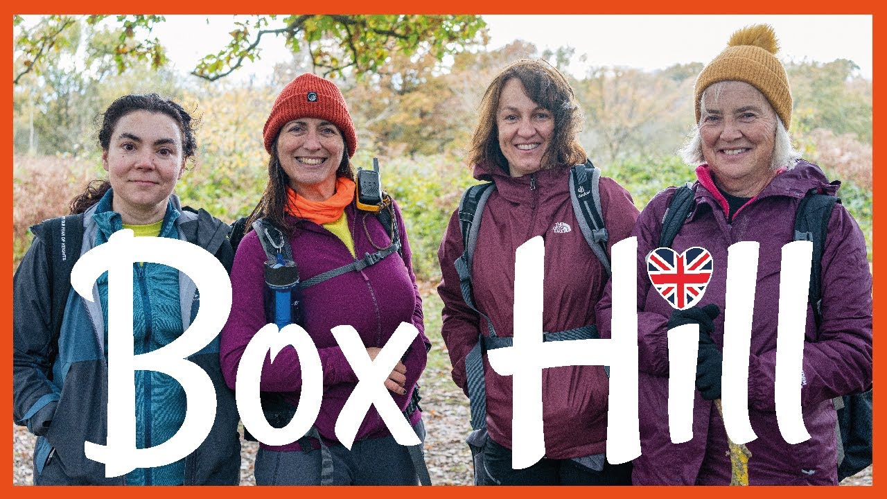 Box Hill to Leatherhead: A Scenic Walk Through the Surrounding Countryside | 🇬🇧 Hiking UK