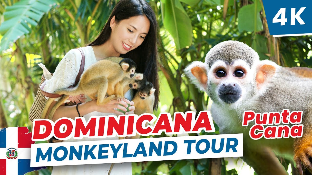 [4K] 🇩🇴 Unforgettable Monkeyland Tour in Punta Cana, Dominican Republic