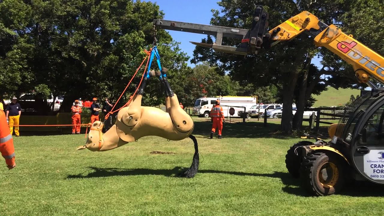 NSW SES Large Animal Rescue Training - Kiama