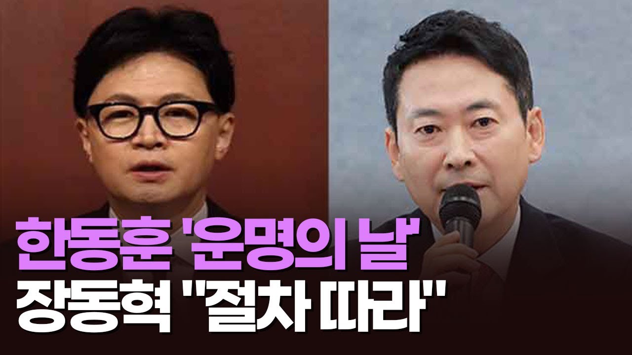 한동훈 '운명의 날'…장동혁 