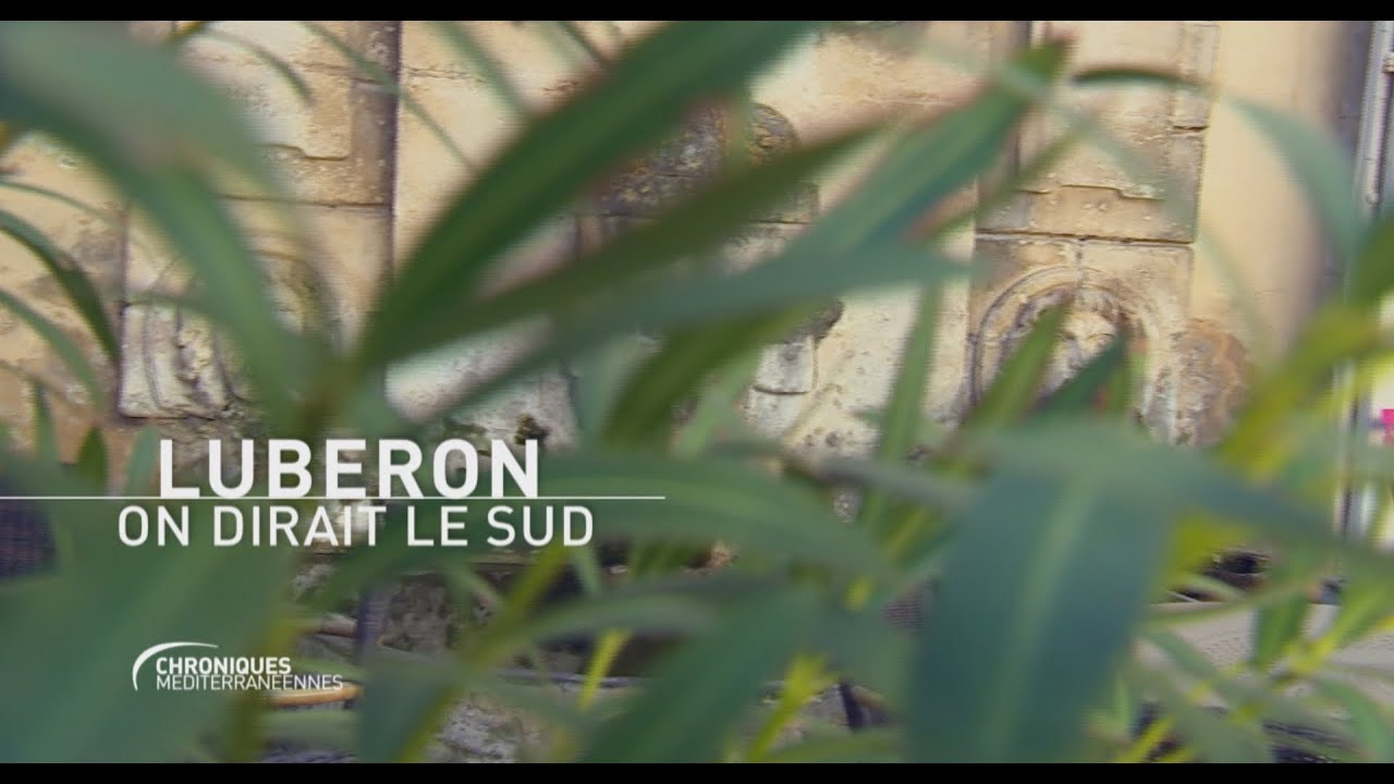 CHRONIQUES MÉDITERRANÉENNES - Lubéron, on dirait le Sud