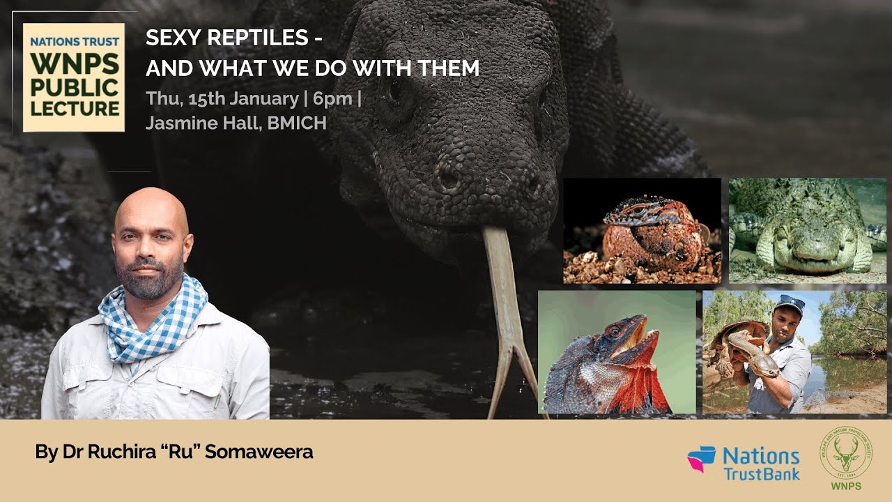 WNPS Monthly Lecture: Sexy Reptiles and What We Do with Them