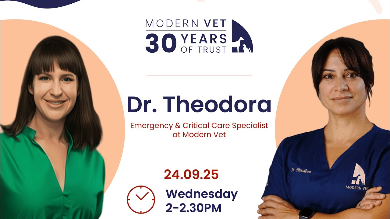 What to do in a pet emergency? 